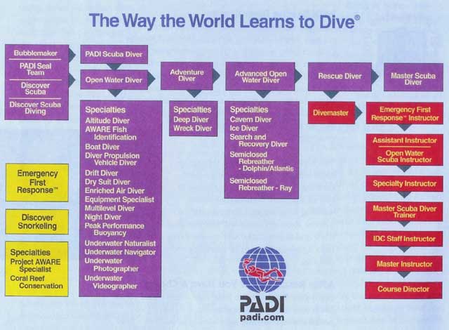 padi course schedule